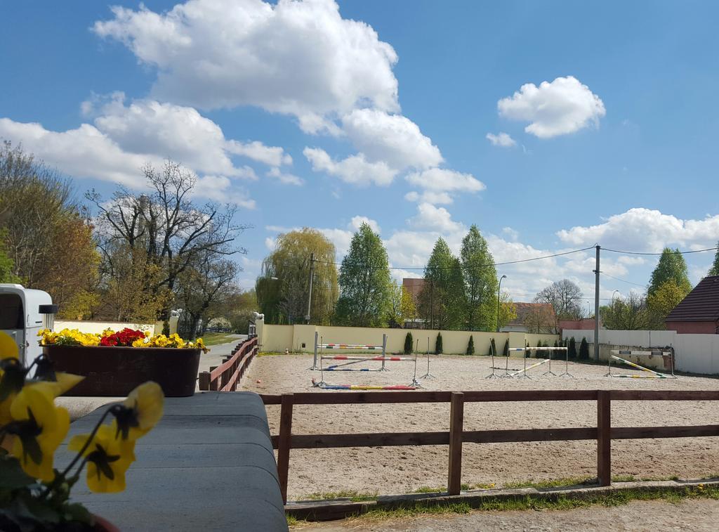 Farm Stay Nh Stables Nyrany Extérieur photo