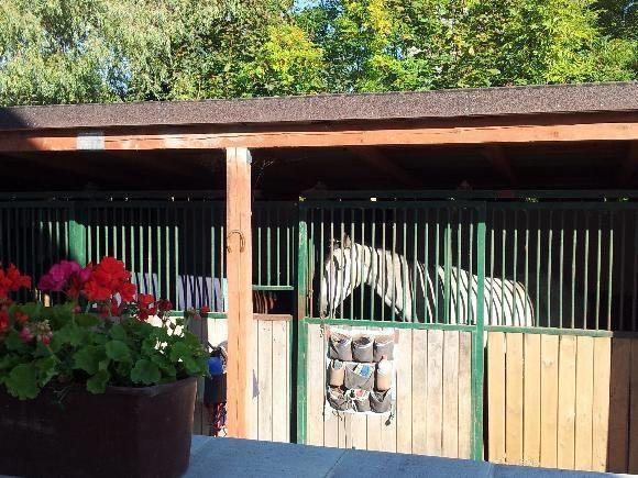 Farm Stay Nh Stables Nyrany Extérieur photo